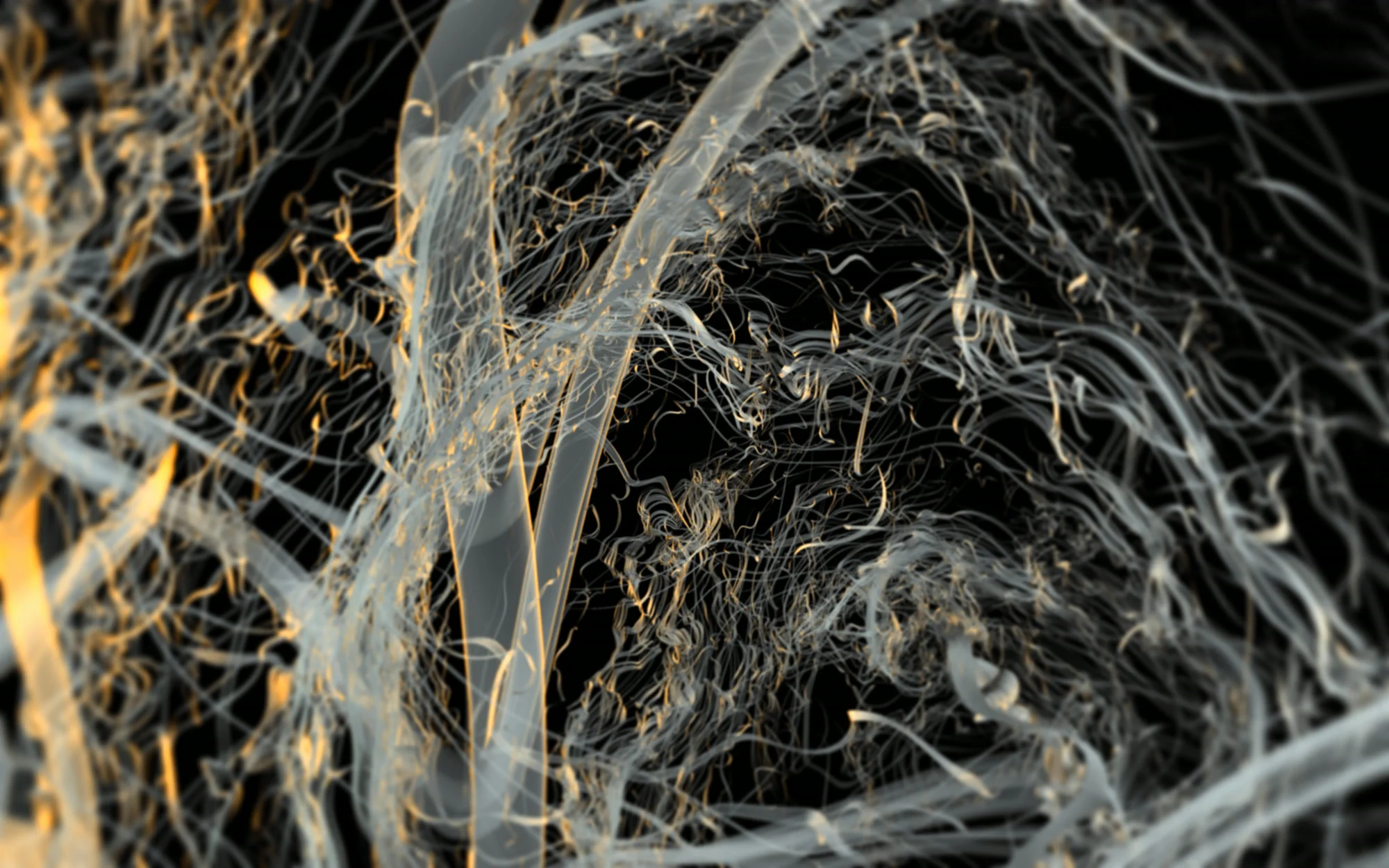 Experiments