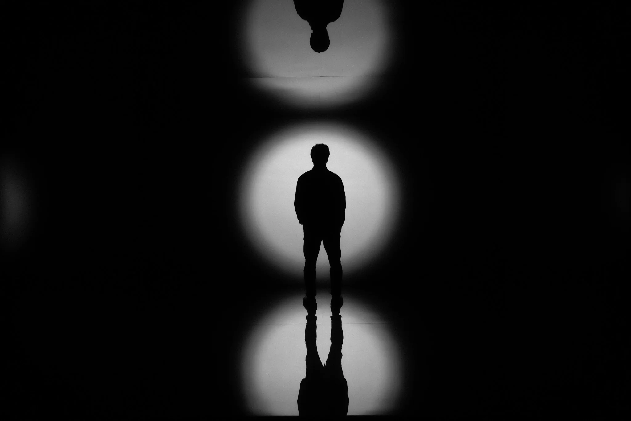 Feel the Light